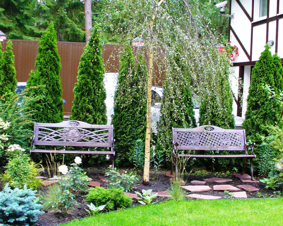 Проект Жуковка